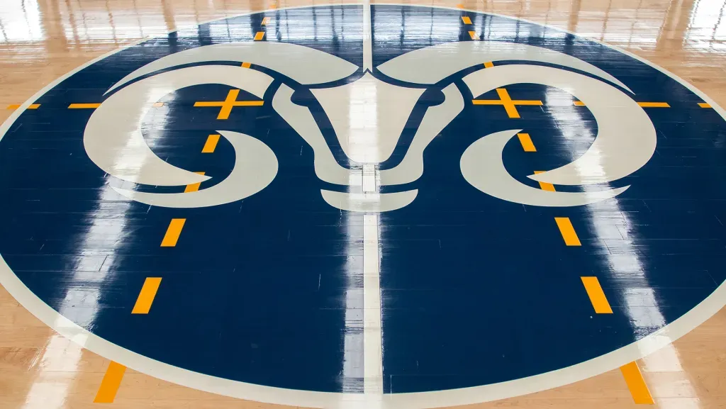 Duela, Cancha de basquetbol Borregos
