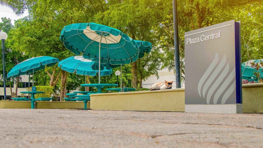 Instalaciones interiores PEIS Tec de Monterrey Sinaloa