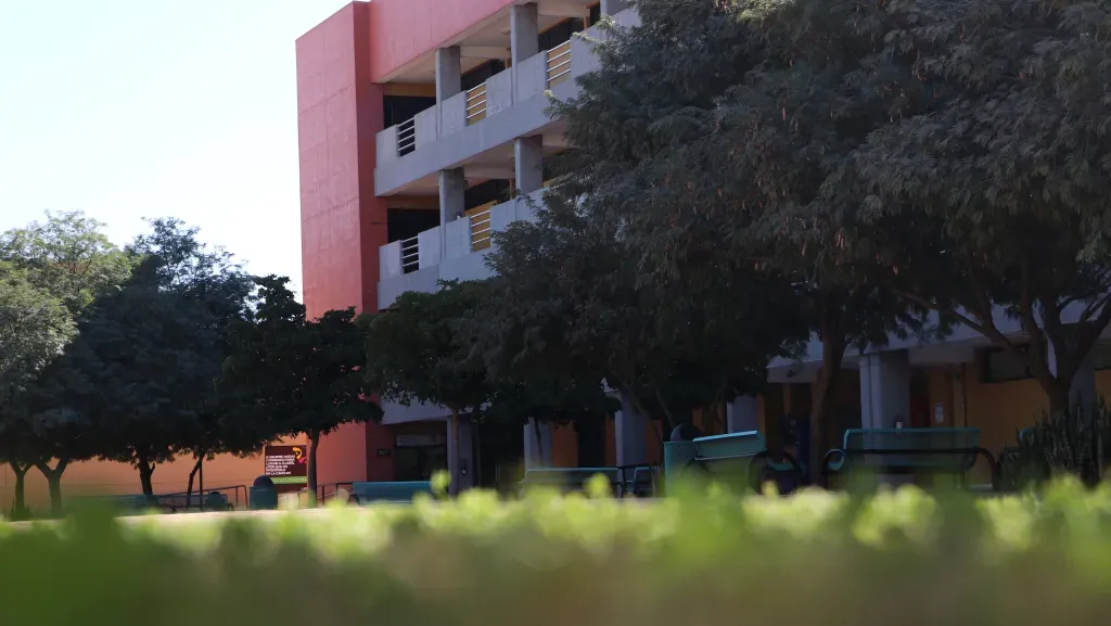 Universidad Tec campus Obregon