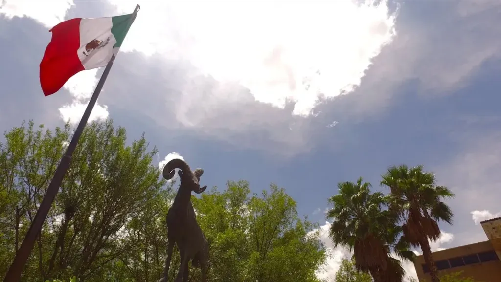 universidad tec en saltillo