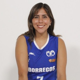 Archivo