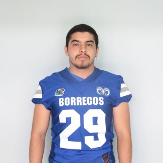 Miguel Rosas Chaparro