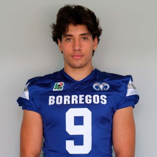 Arsenio Salmones Herrera