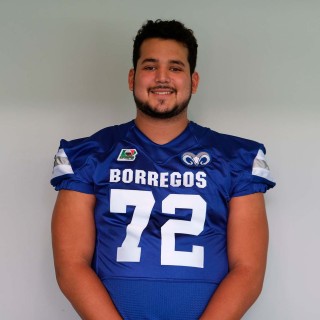 Emiliano Gallegos Arcila