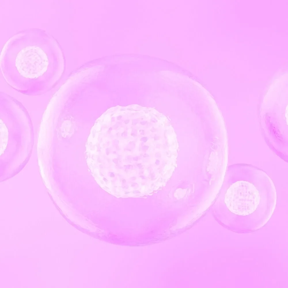 Ciencia para un planeta sostenible