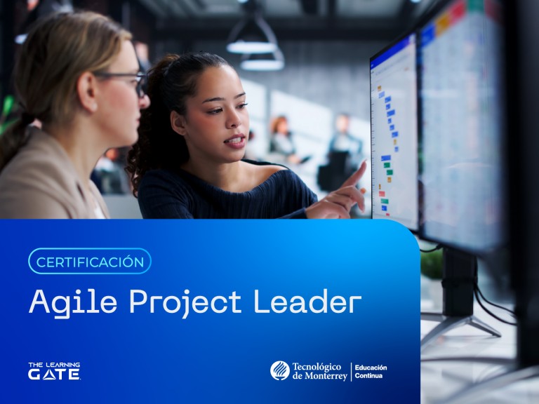 Agile Project Leader