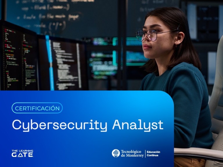 Cybersecurity Analyst