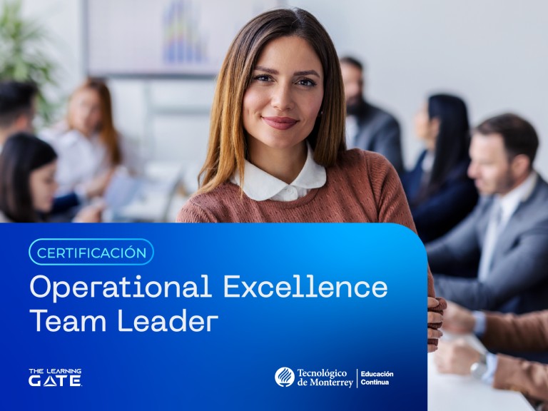 Operational Excellence Team Leader