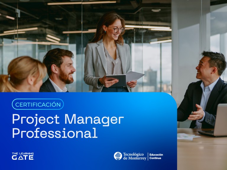 Project Manager Professional (TLG)