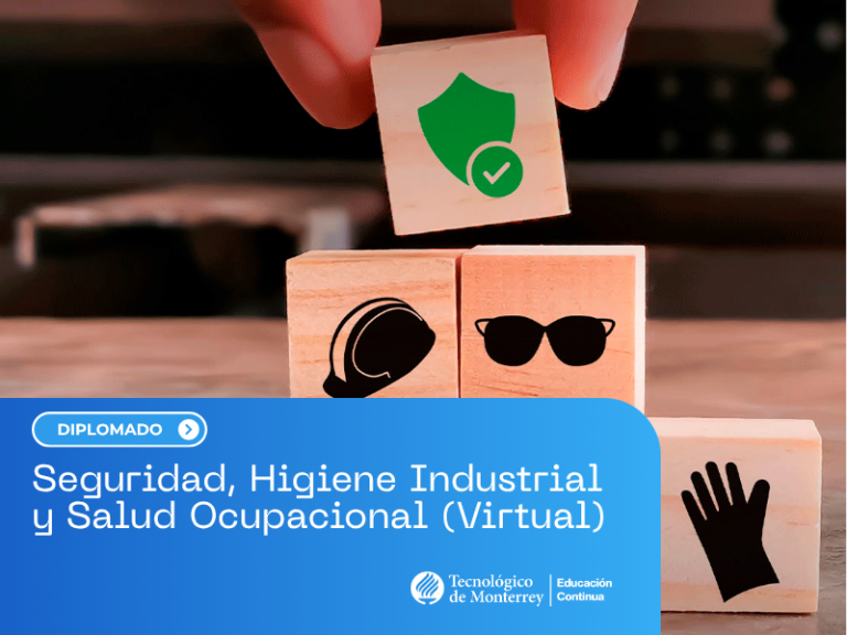 Seguridad, Higiene Industrial y Salud Ocupacional (Virtual)