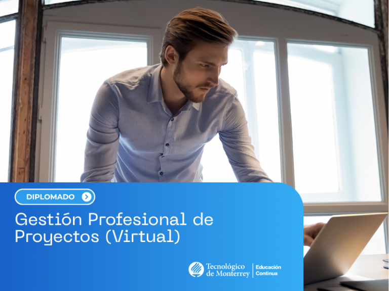 Gestión Profesional de Proyectos (Virtual)