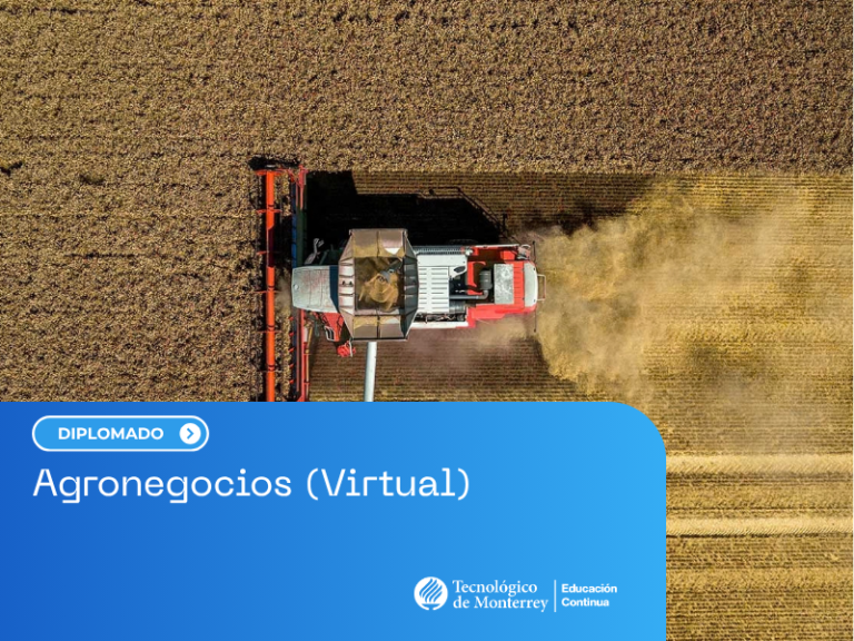 Agronegocios (Virtual)
