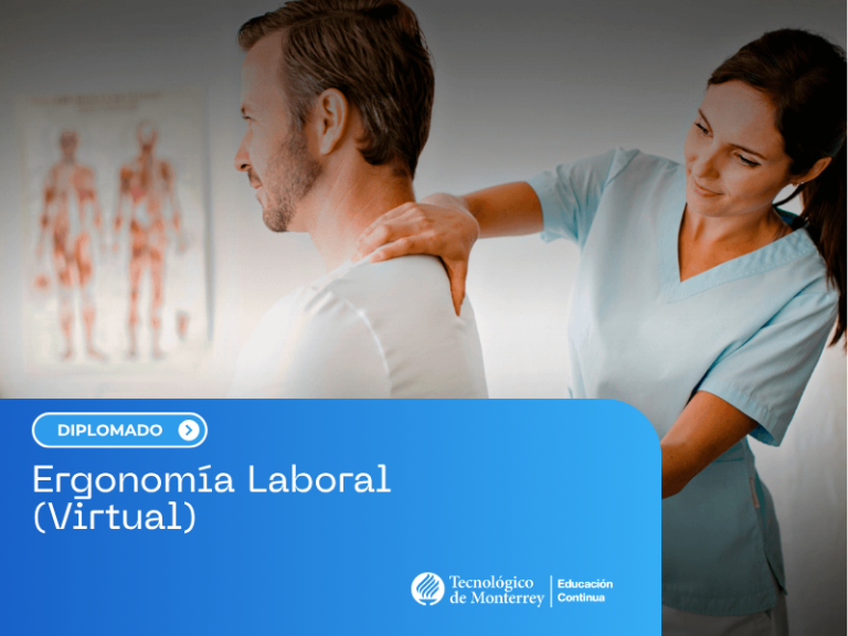 Ergonomía Laboral (Virtual)