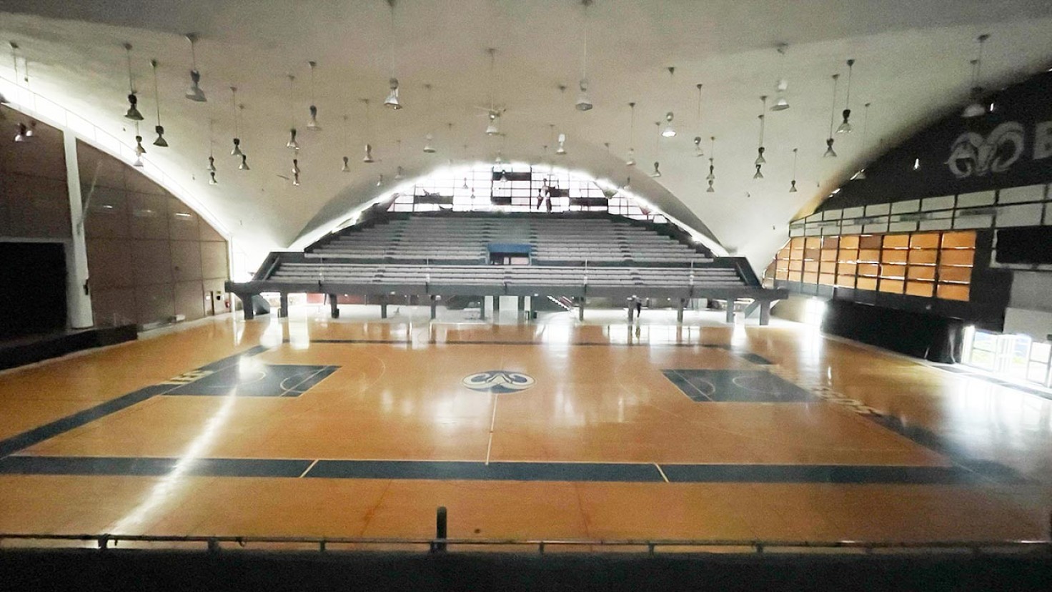Borregos