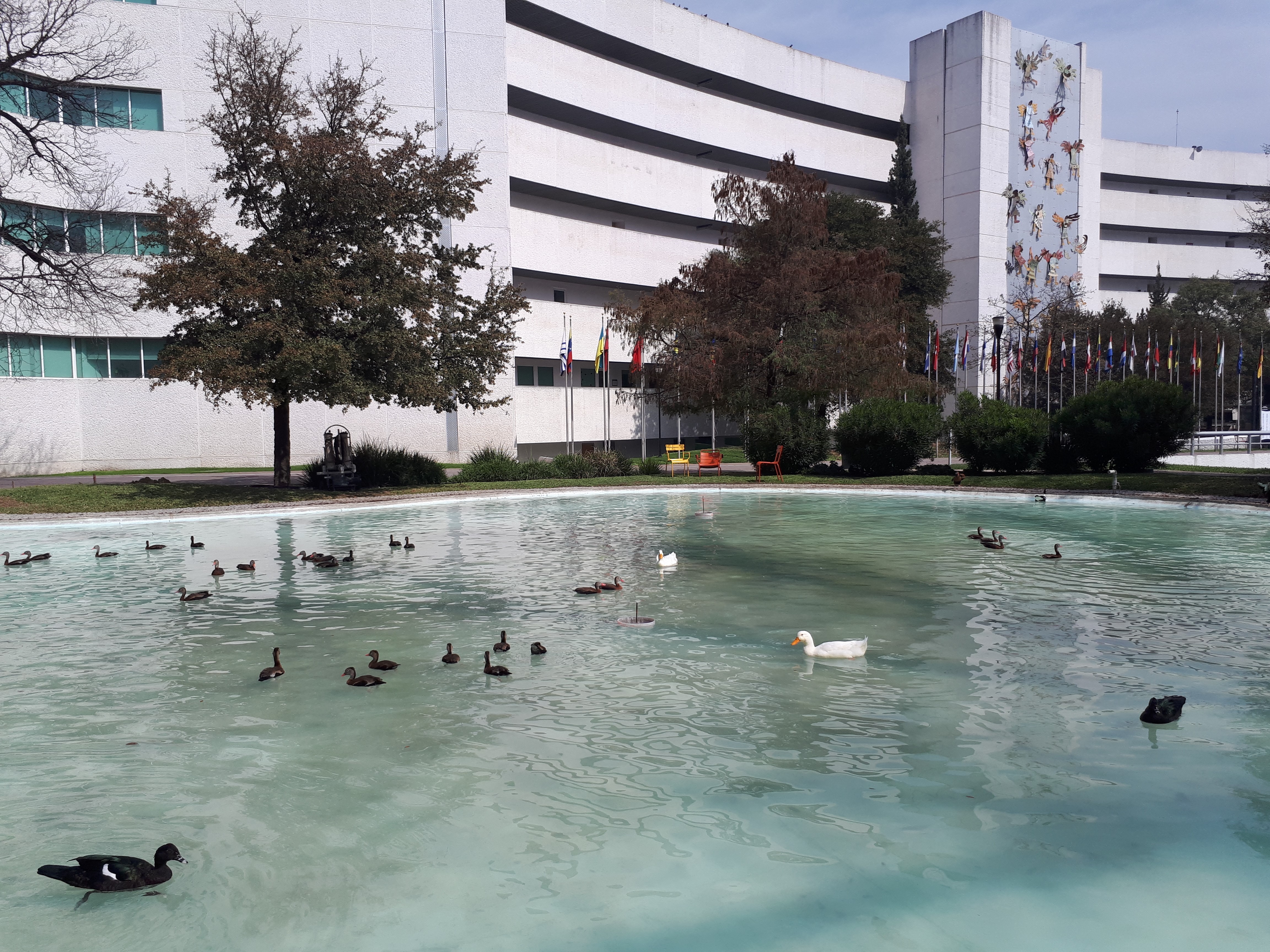 El llamado Lago de los Patos en el campus Monterrey Patos