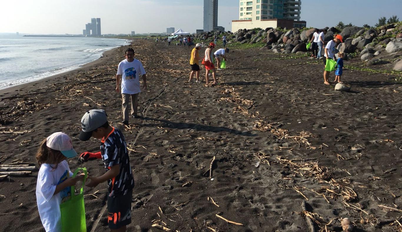 En Veracruz, los egresados del Tec se dedicaron a la limpieza en las playas.
