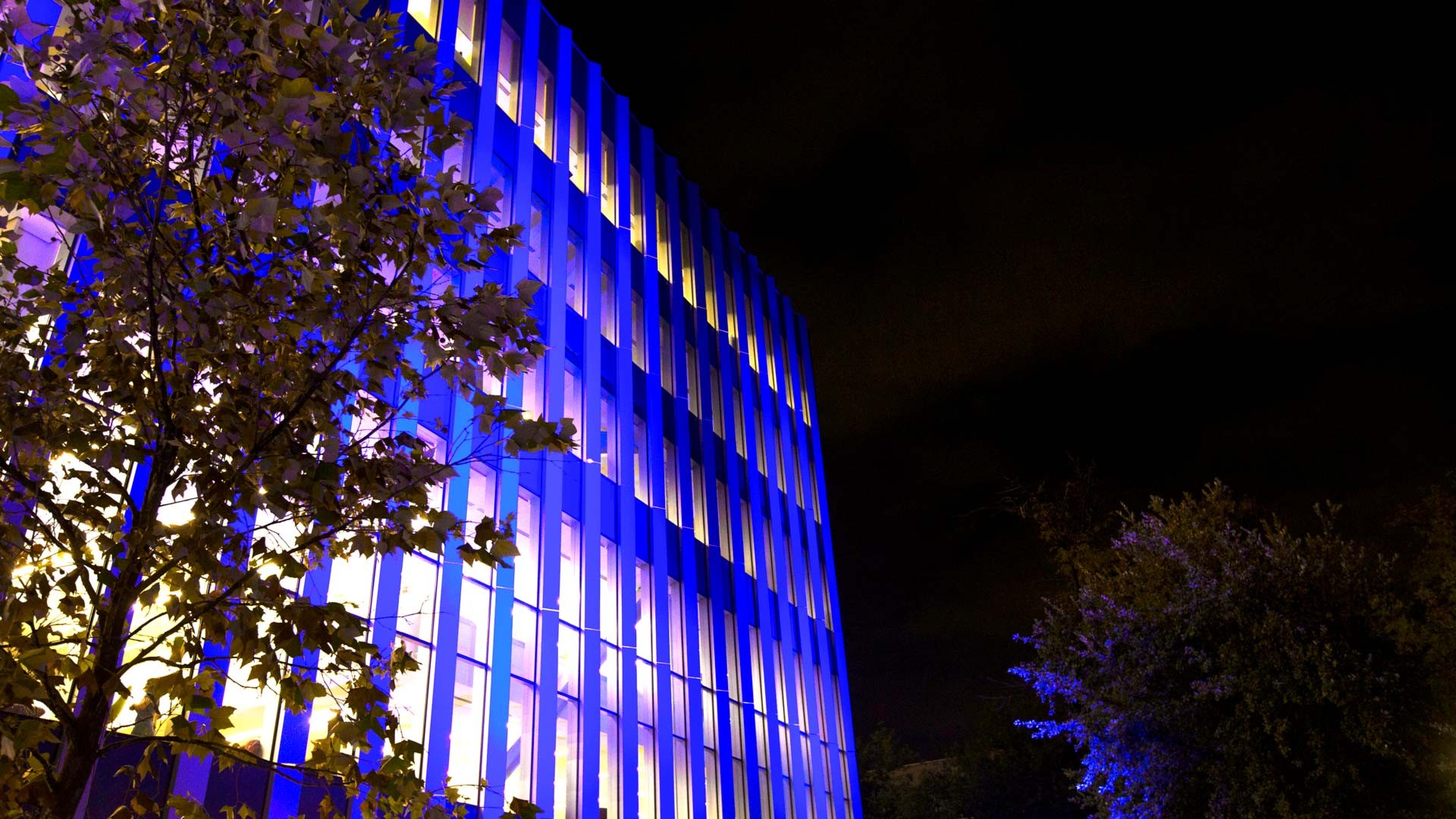 La BiblioTEC fue iluminada por el emblemático color azul. La BiblioTEC fue iluminada por el emblemático color azul.