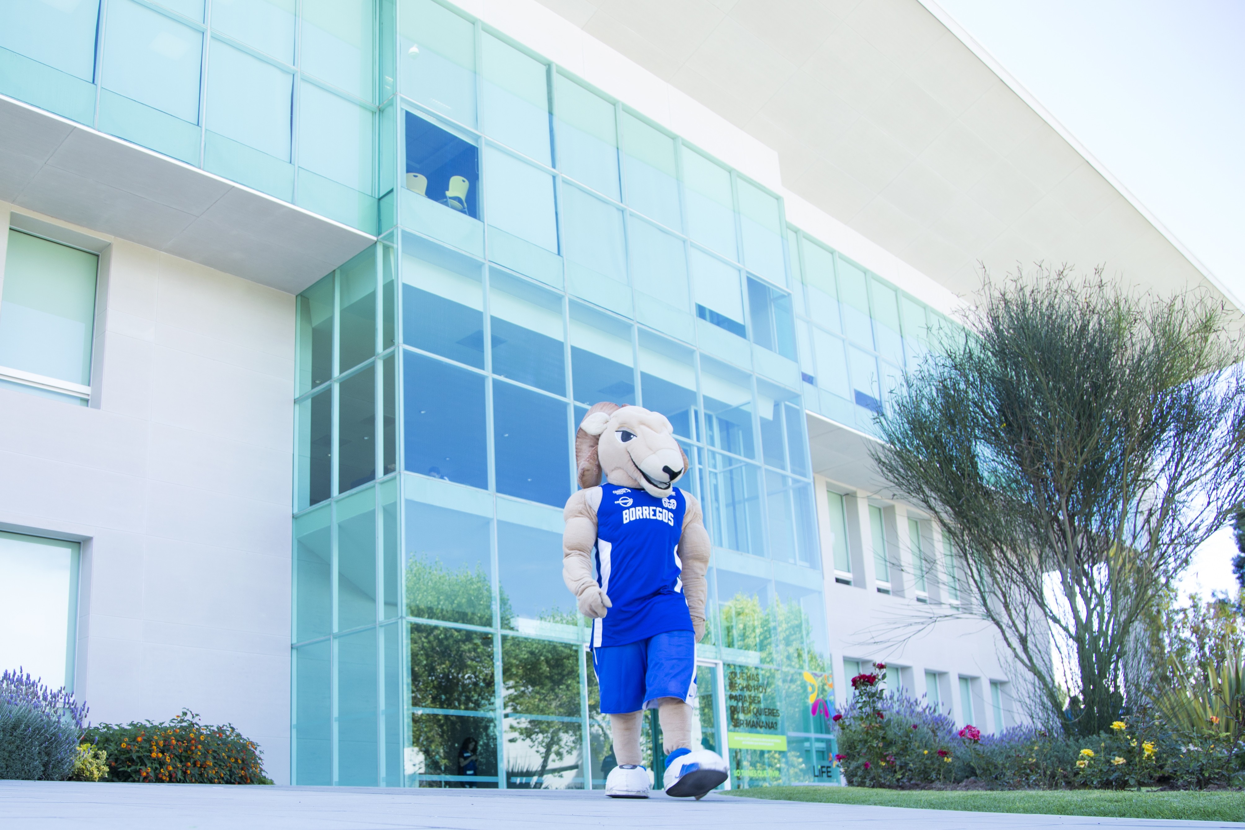 Tebo, mascota de Campus Hidalgo Día 3 Semana i