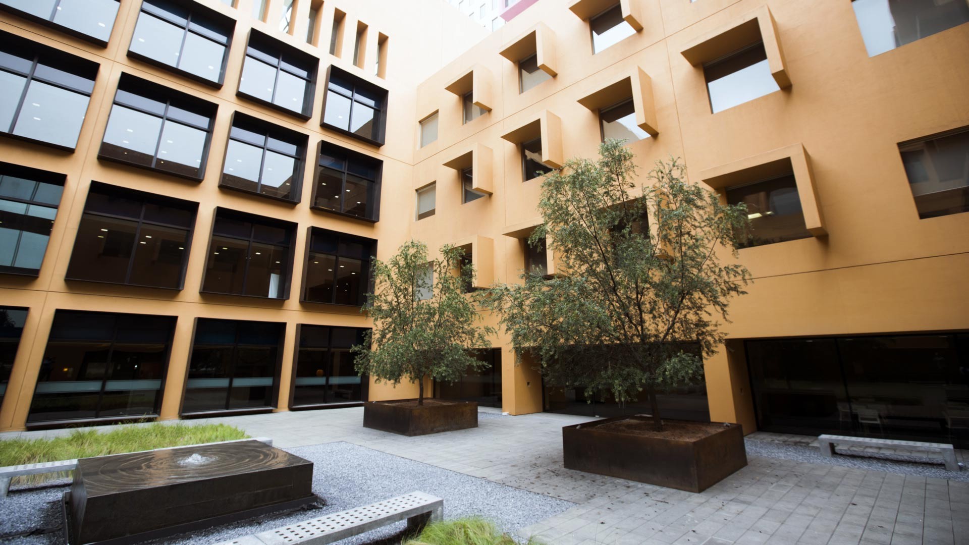 Se consideraron variables de eficiencia médica. El Hospital Zambrano Hellion