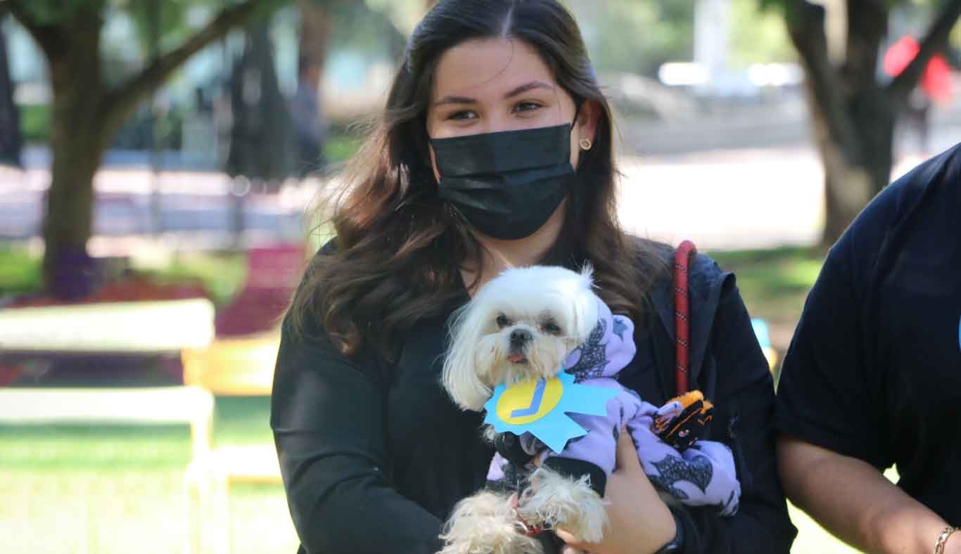 Estudiantes llevaron a sus perritos disfrazados por Halloween.
