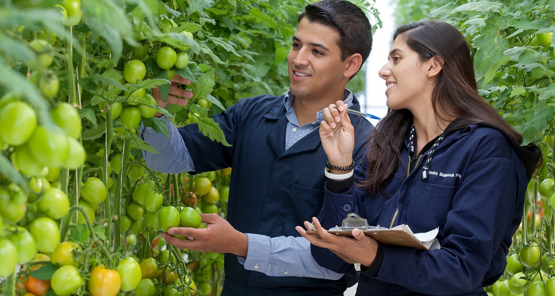 Ingeniero en Biosistemas Agroalimentarios | Tecnológico de Monterrey