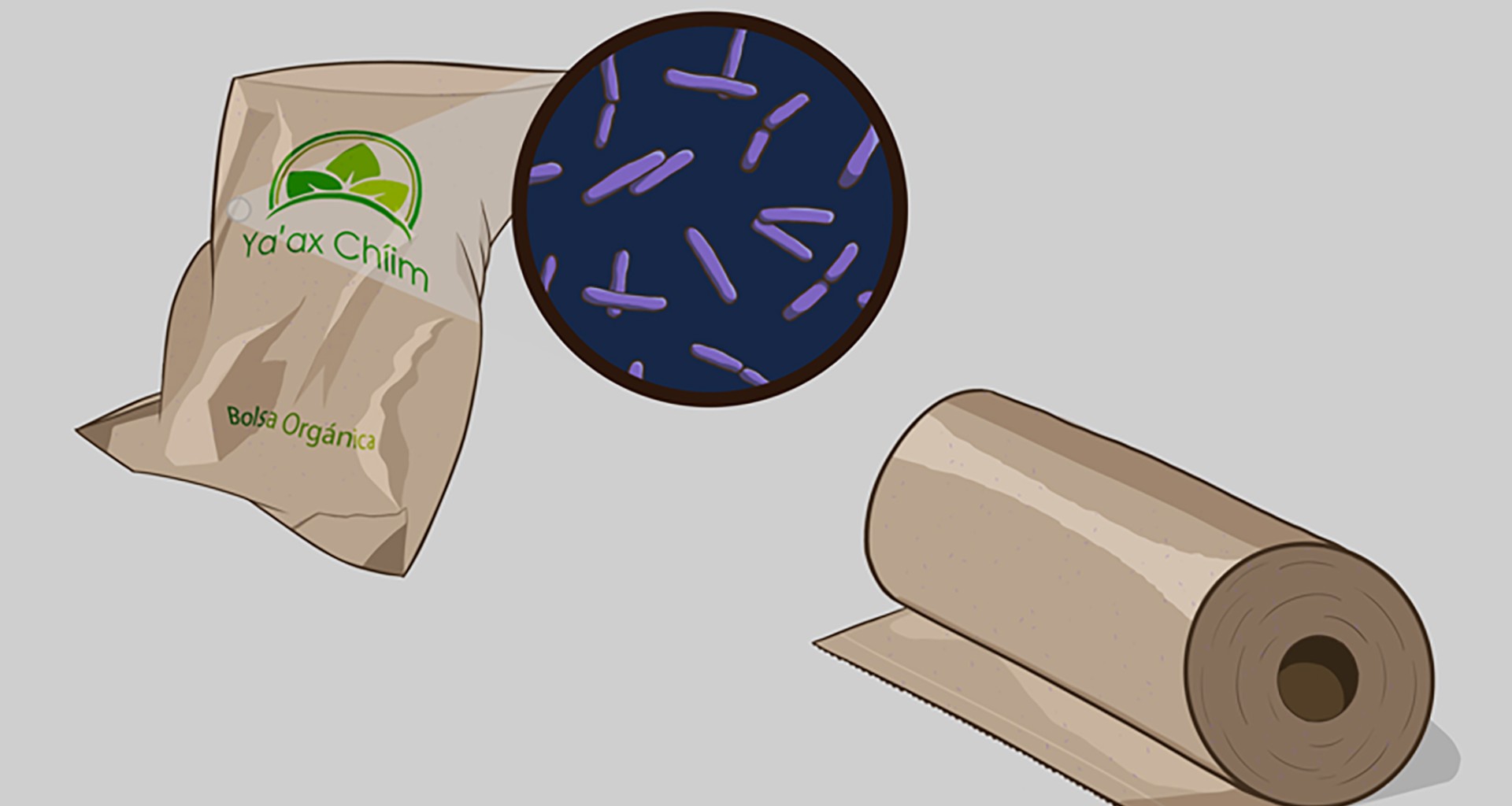 Diseño de bolsa biodegradable