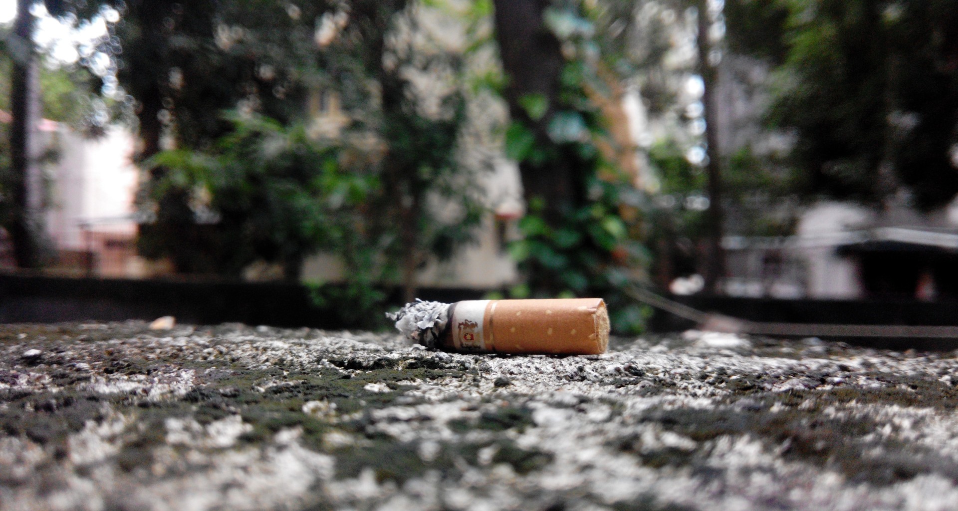 Día Mundial sin Tabaco Tabaquismo Fumar Cigarro