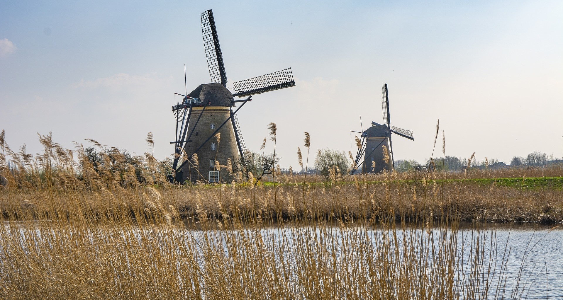 Países Bajos es ejemplo de sustentabilidad a nivel mundial