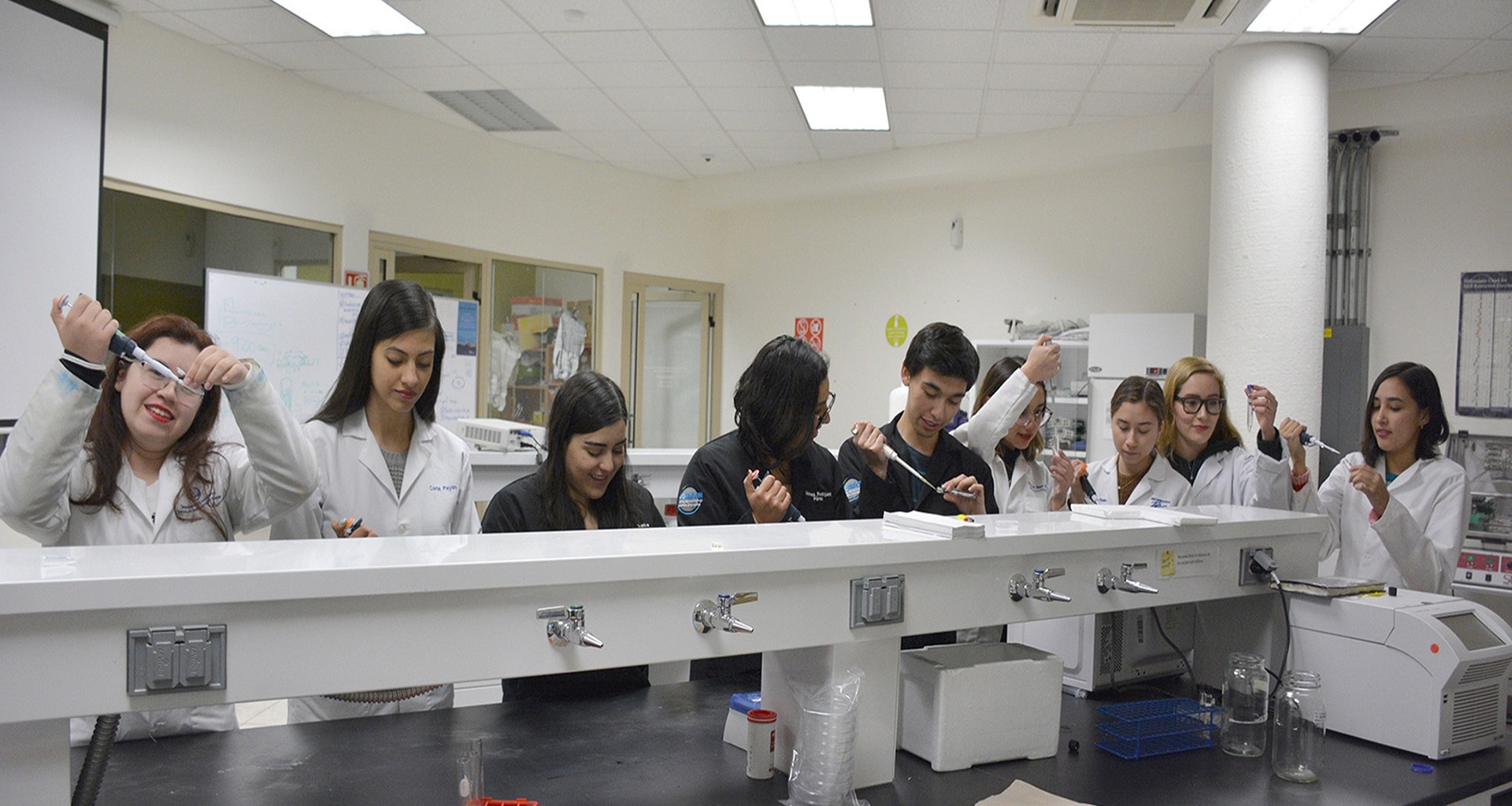 El equipo de iGEM Chihuahua realizando pruebas de laboratorio 