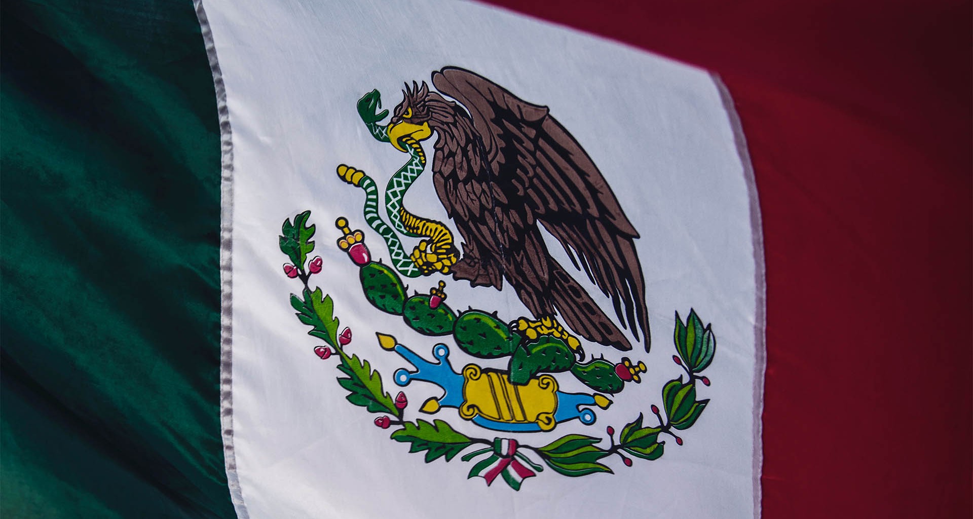 ¡Viva México! y sus emprendedores sociales