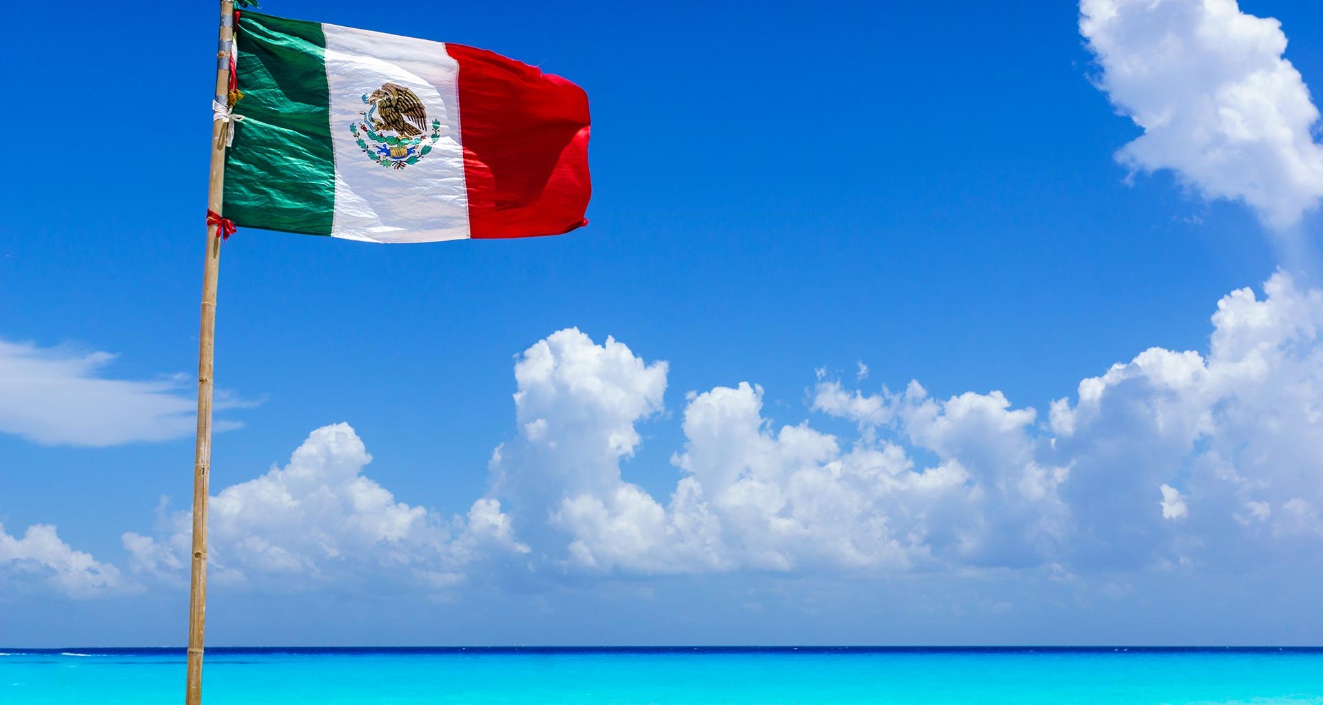 Jóvenes del Tec de Monterrey con empresas y proyectos que buscan transformar a México