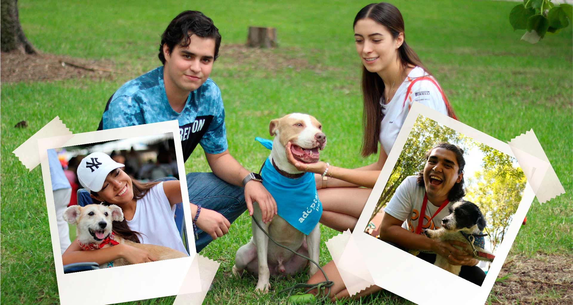 Ponte perro es un grupo estudiantil dedicado a incentivar la adopción de perros callejeros y su esterilización.