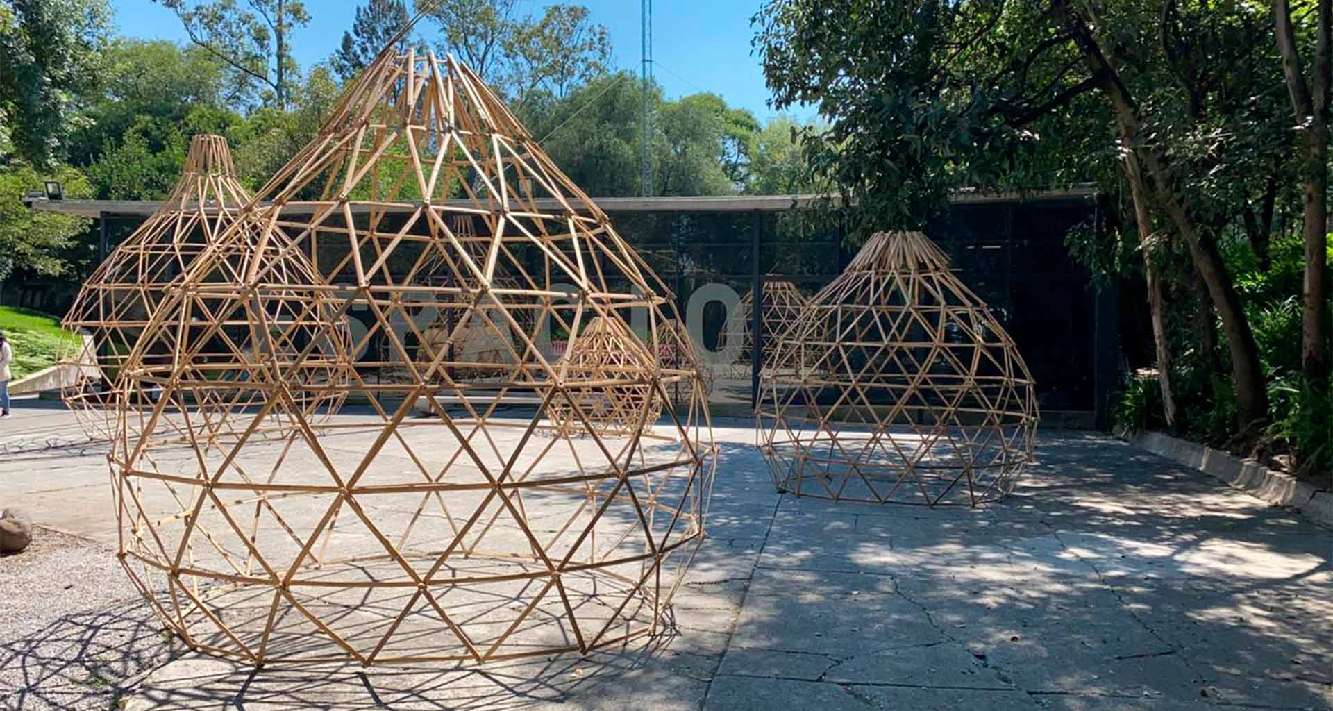 Crean obra arquitectónica a base de bambú y lo exhiben en Chapultepec