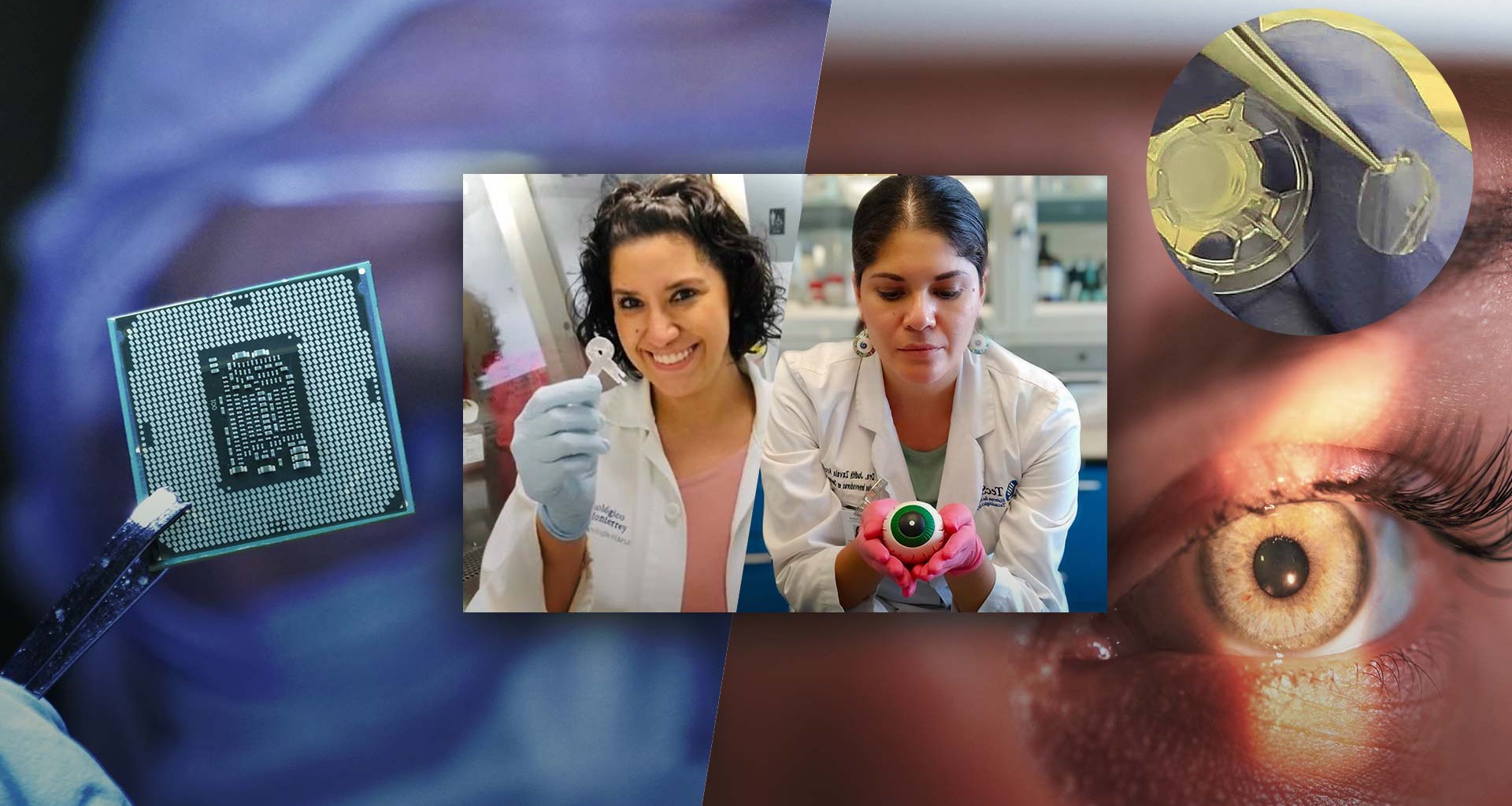 Cientificas del Tec de Monterrey fueron reconocidas en el Top25 de Mujeres científicas en LATAM de 3M