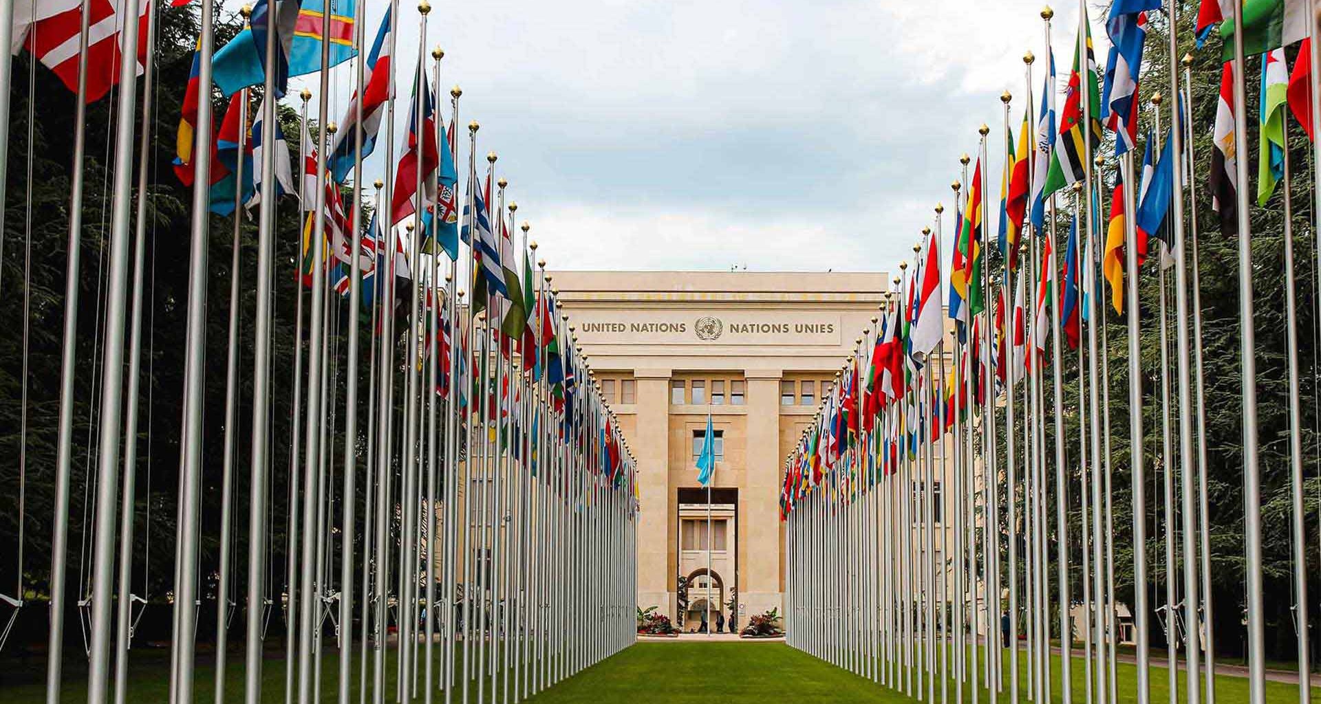 Modelo de las Naciones Unidas