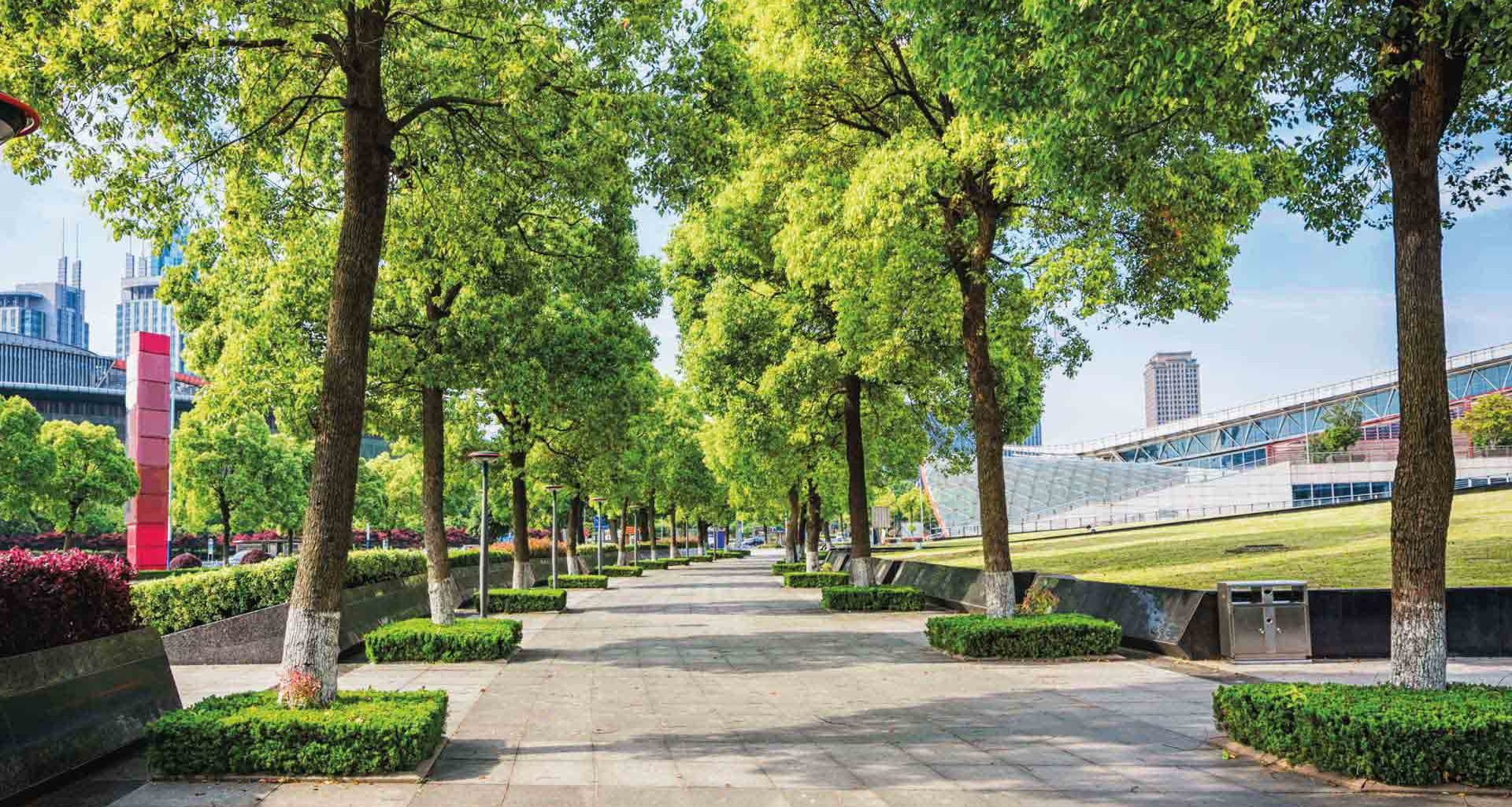 Oasis urbanos son un espacio verde sustentable en la ciudad