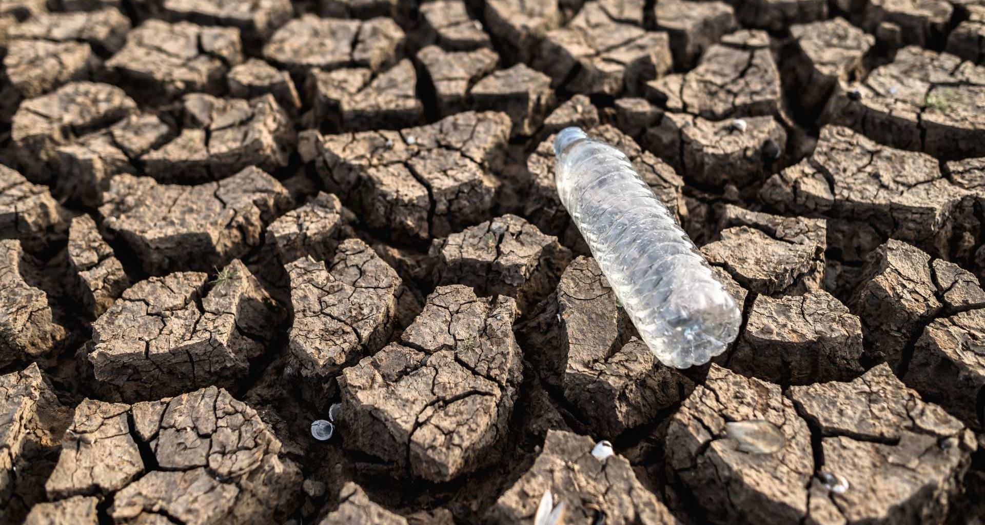 Por qué hay sequía en México y qué hacer para enfrentarla? | Tecnológico de  Monterrey