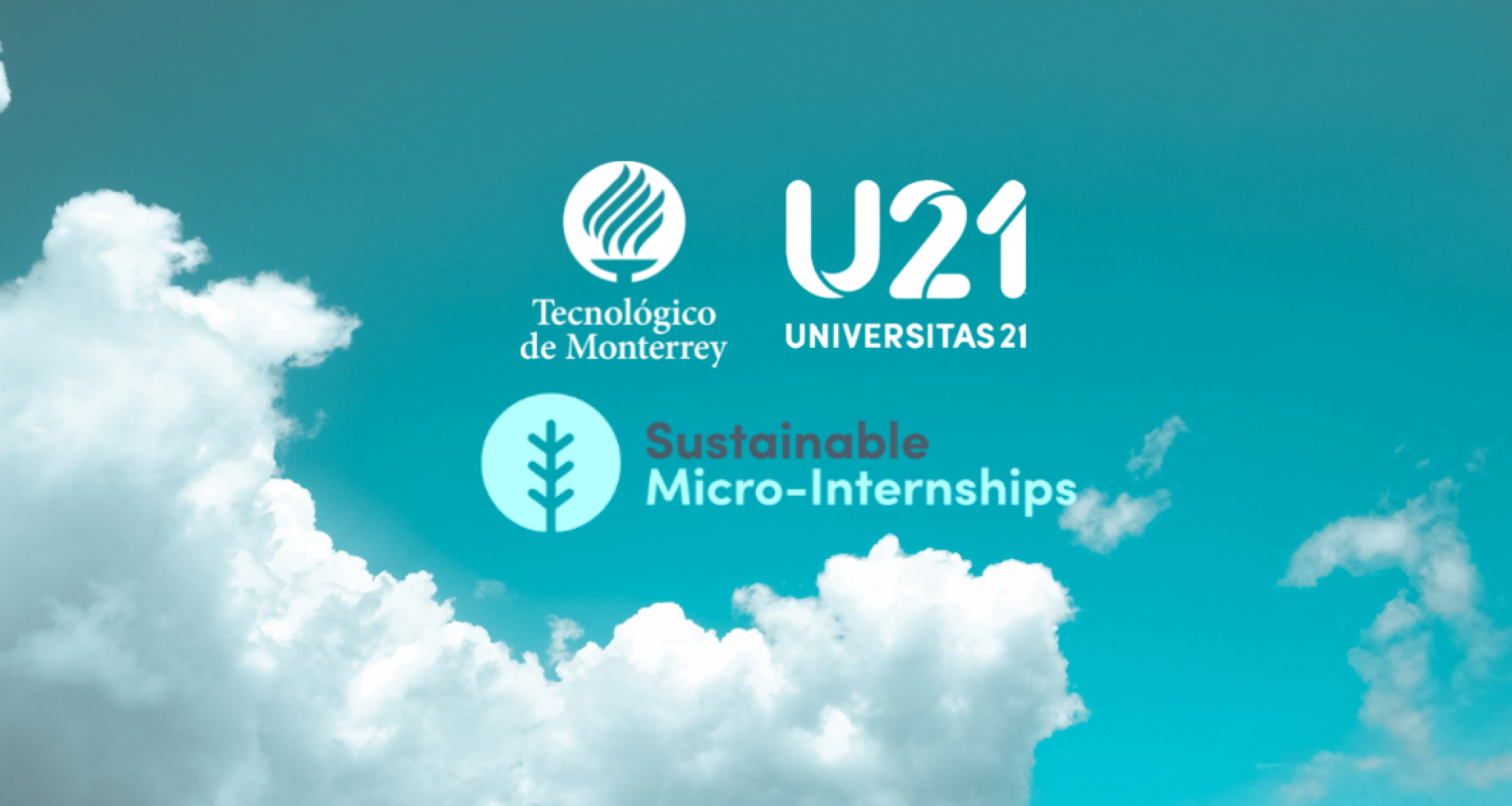 Convocatoria Micro-Internships U21