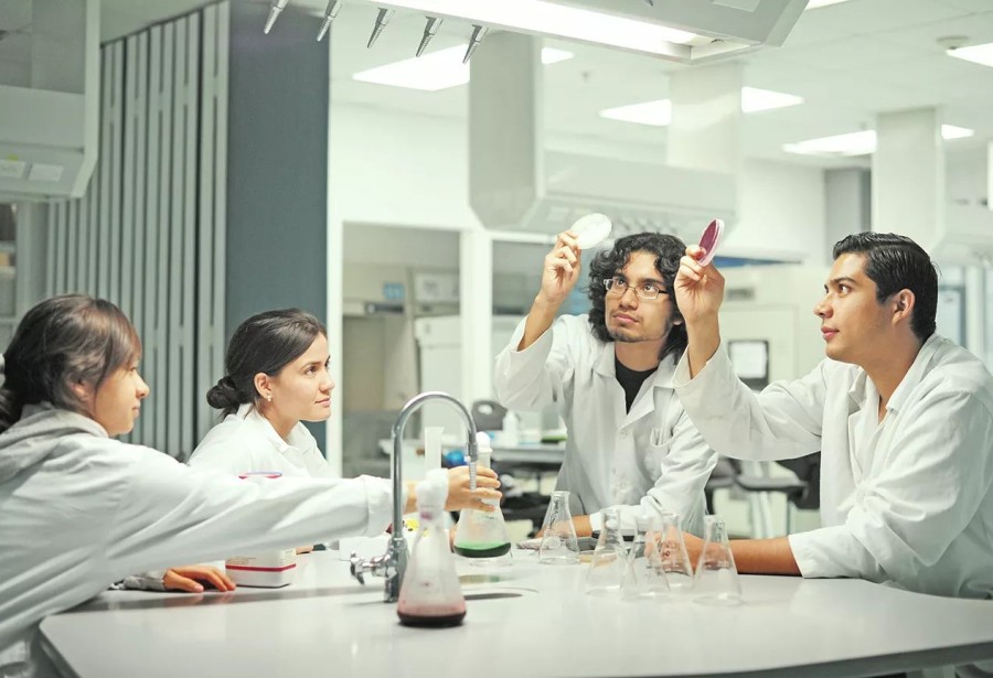 INVESTIGACIÓN