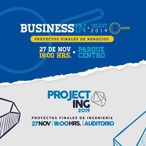ProjectING & Business Insight 2019