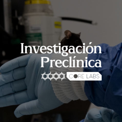 Investigacion preclinica