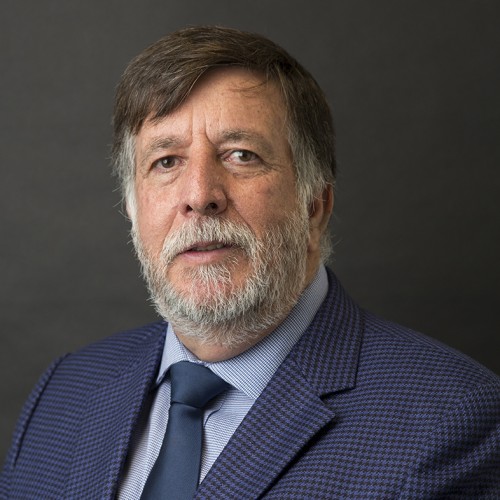 Alfonso Vega González