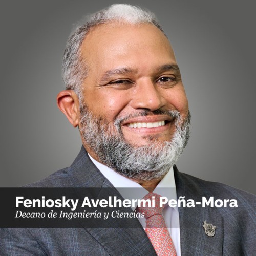 Feniosky Peña-Mora