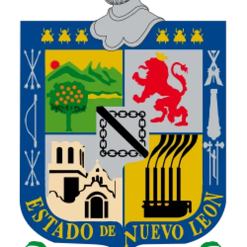 Cuarto de situacion NL