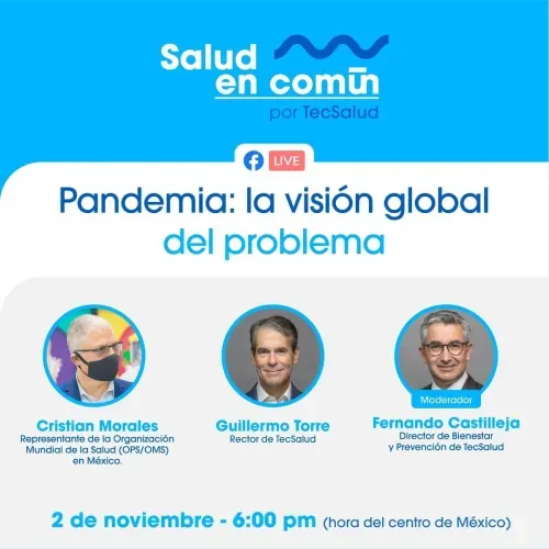 Pandemia: la visión global del problema