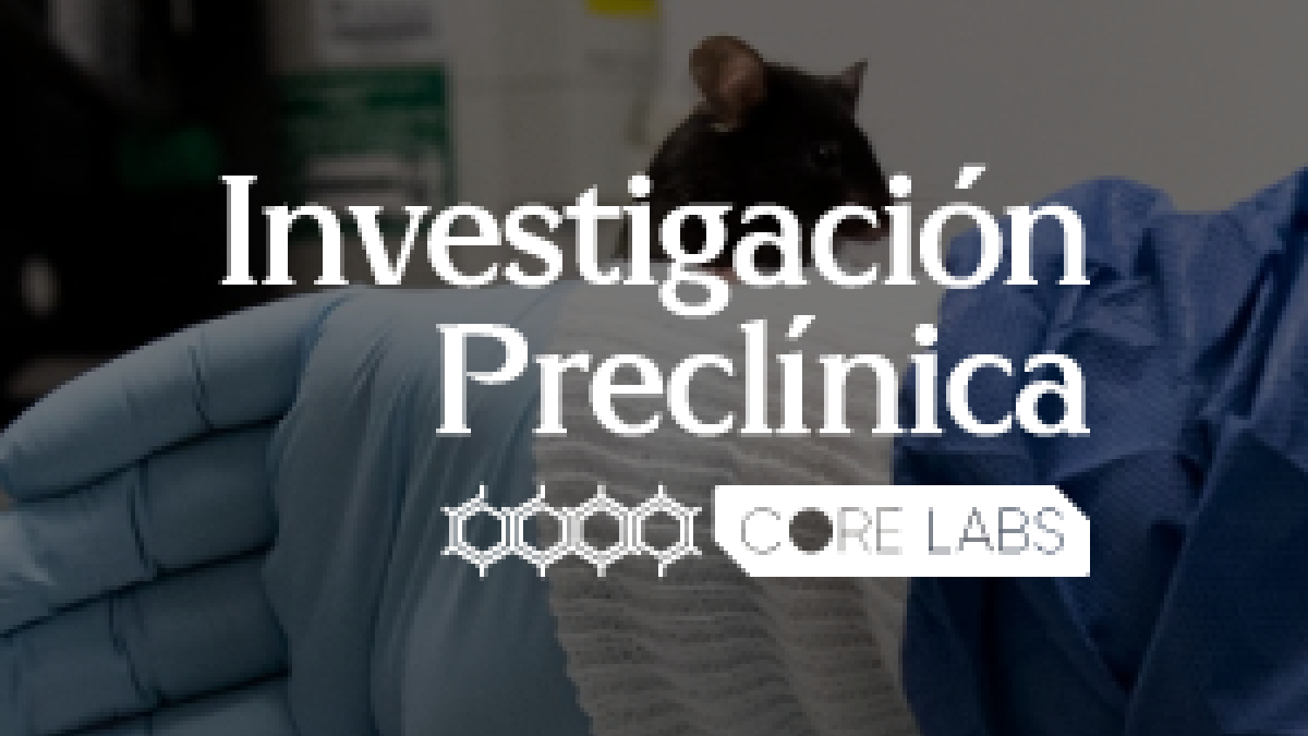 Investigacion preclinica