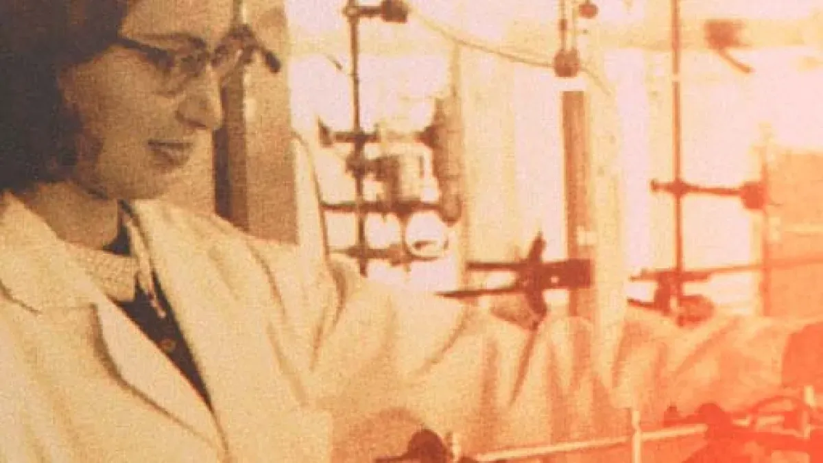 Madurando el proyecto (1953-1963)
