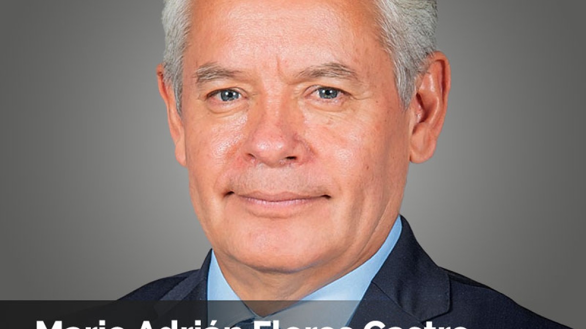 Mario Adrián Flores Castro