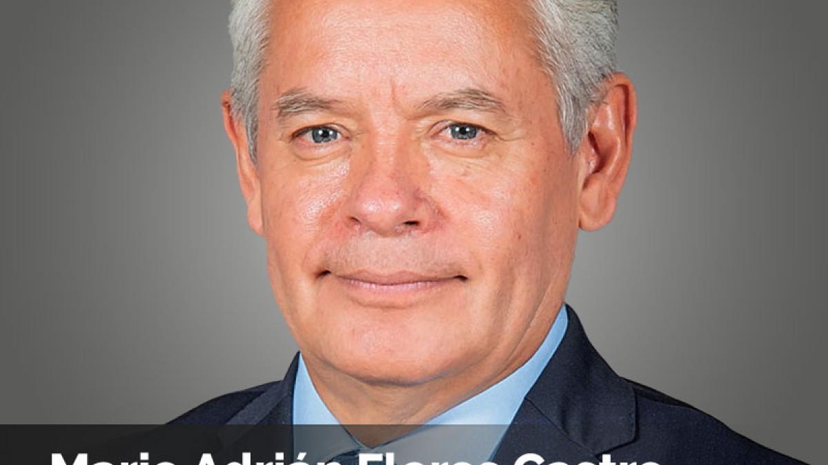 Mario Adrián Flores Castro