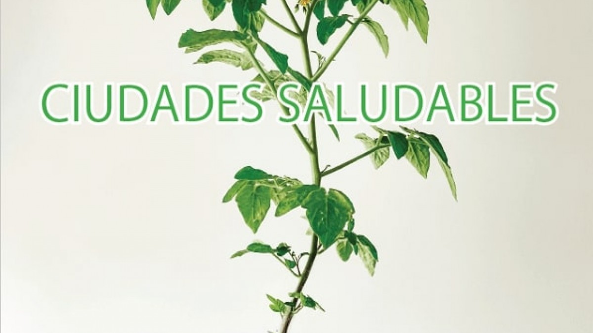 Ciudades saludables webinar flyer